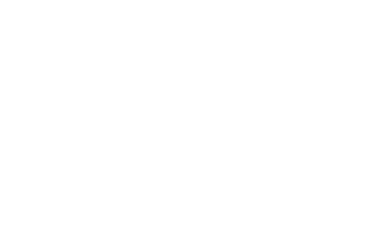 I-DEALS